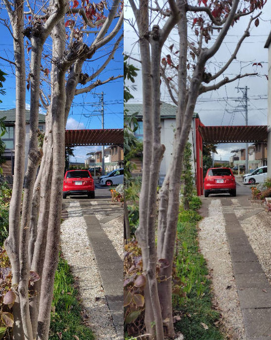 yamaboshi before after.jpg